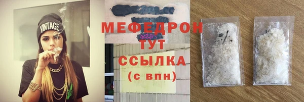 индика Сясьстрой