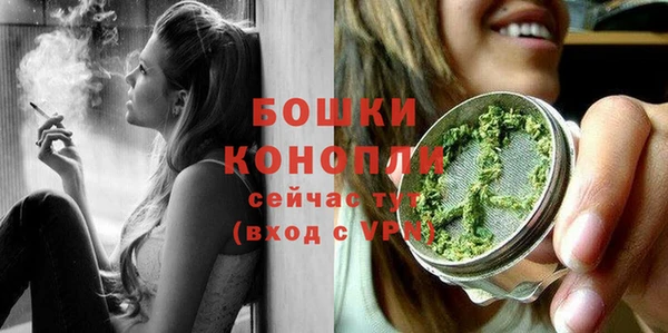 Альфа ПВП Тавда