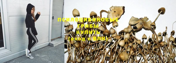 метадон Белокуриха